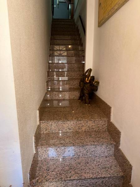 Venta - Casa Tipo Dúplex - Rio Segura - Archena